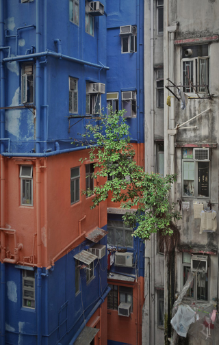 Illustration for article titled These post-apocalypse images of Hong Kong are actually real photos